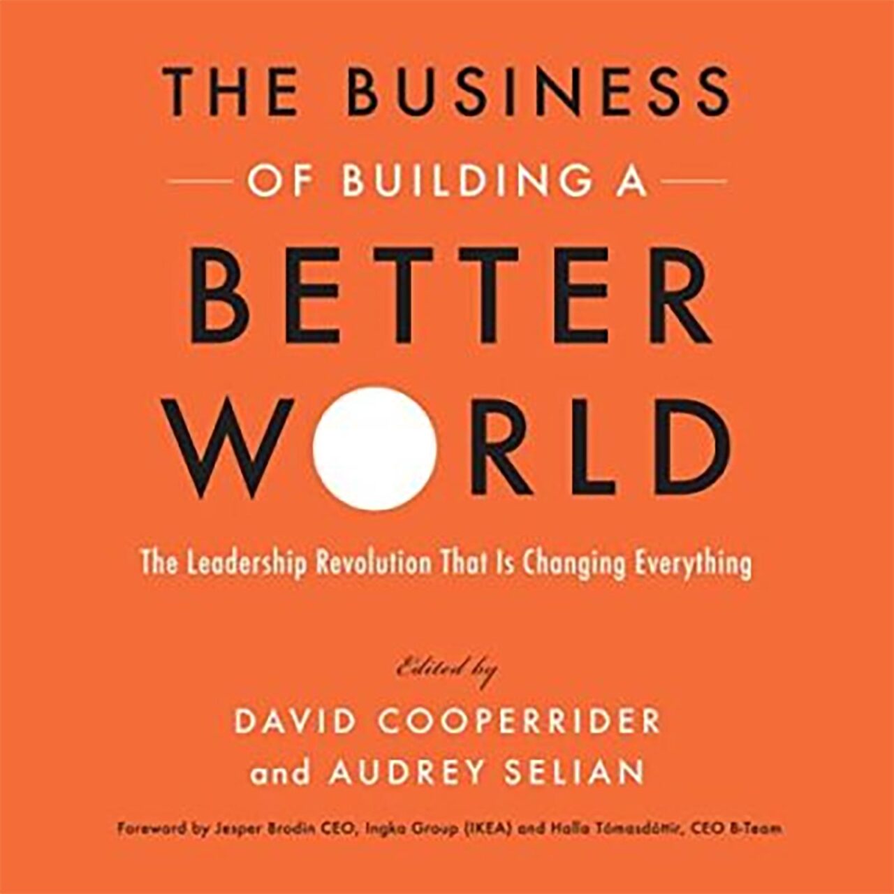 Cover of the book The Business of Building a Better World