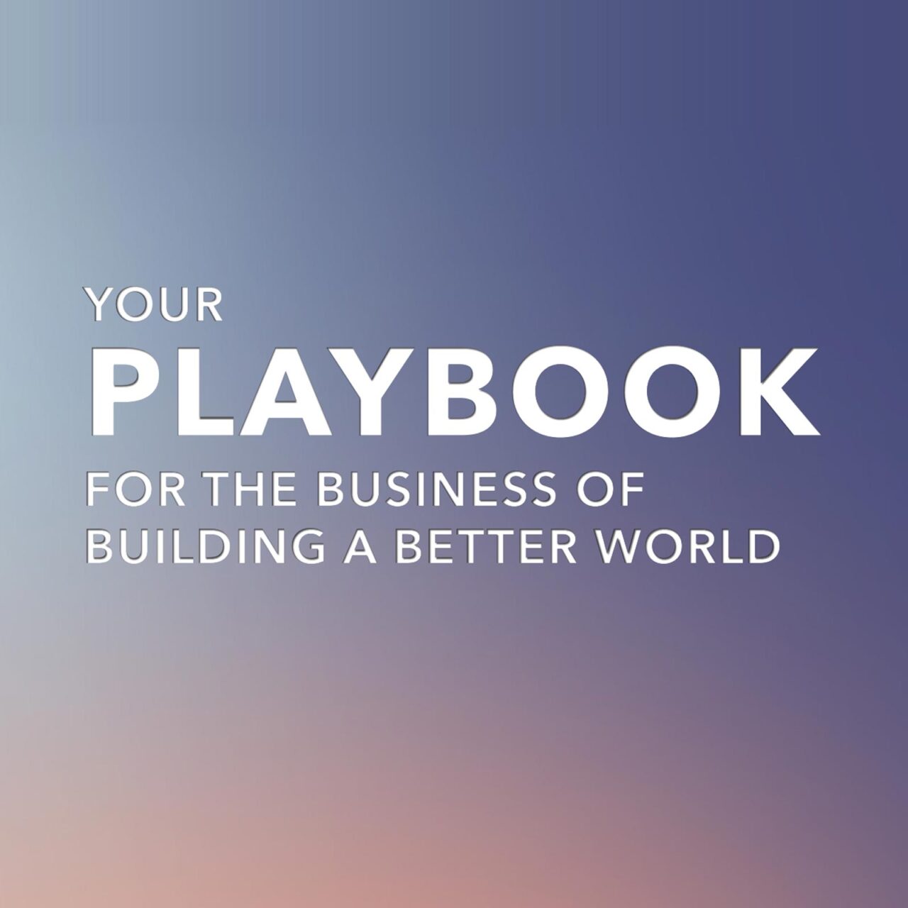 Your Playbook - For the Business of Building a Better World
